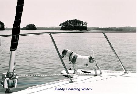 Buddy Standing Watch